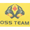 OSS TEAM