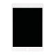 LCD with Digitizer Assembly for iPad Mini 5 White