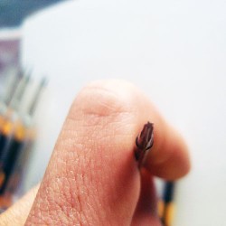 0.8/1.2MM Dual Heads 5-POINT TORX Screw Driver 0.8/1.2MM Dual Heads 5-POINT TORX Screw Driver